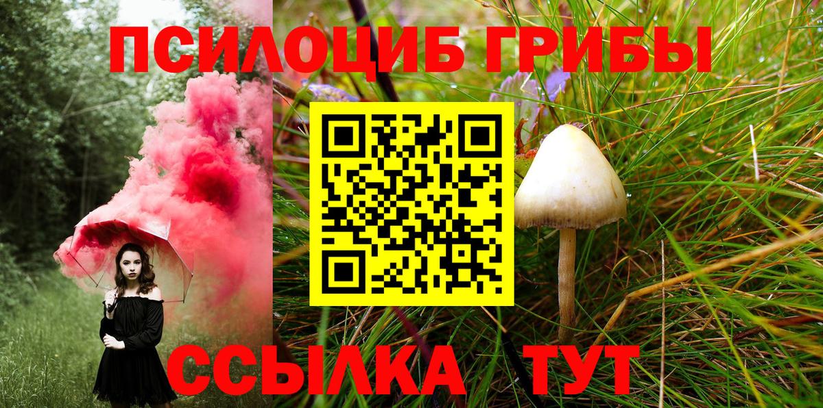 Псилоцибиновые грибы мухоморы  Вход с VPN  Лениногорск 